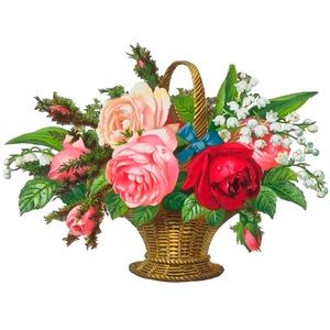 Meet your Posher, Melanie